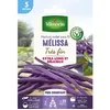 Image de Graine - Vilmorin - Haricot Grimpant Violet Mélissa - 5 m