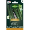 Image de Graines - Vilmorin - Concombre Bella F1 - Graines dException