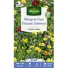 Image de Vilmorin Fleurs Résistantes Sécheresse - 25 m² - Mélange de fleurs