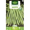 Image de Graine - Vilmorin - Haricot nain vert sans fil Majestik