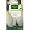 Image de Graines - Vilmorin - Chicorée Witloof (endive) Blanche Normale