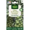 Image de Graines - Vilmorin - Choux de Bruxelles Groninger