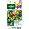 Image de Sachet Graines Fleurs De Balcon Annuelle En Mélange