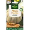 Image de Graines - Vilmorin - Melon Charentais