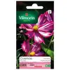 Image de Sachets Graines Cosmos Picotée Vilmorin