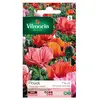 Image de Sachet Graines Pavot Pizzicato Varié