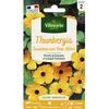 Image de Graines - Vilmorin - Thunbergia Alata Suzanne aux Yeux Noirs