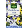 Image de Graines - Vilmorin - Viola Cornuta Variée