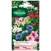 Image de Sachet Graines Fleurs Parfumées En Mélange