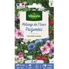 Image de Graines - Vilmorin - Fleurs Parfumées - 4 m² - Mélange de fleurs