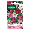 Image de Sachet Graines Cosmos Aldebaran