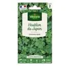 Image de Graines - Vilmorin - Houblon Grimpant