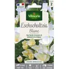 Image de Graines - Vilmorin - Eschscholtzia Blanc