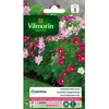 Image de Graines - Vilmorin - Cosmos Sensation Nain Varié