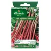 Image de Graines - Vilmorin - Rhubarbe Victoria - Légumes dAutrefois