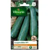 Image de Graines - Vilmorin - Courgette Bélor HF1 - Graines dException