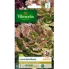 Image de Graines - Vilmorin - Laitue Batavia Kamikaze - Graines dException