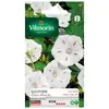 Image de Sachet Graines Ipomée Géante Blanche