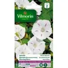 Image de Graines - Vilmorin - Ipomée Géante Blanche
