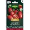 Image de Graines - Vilmorin - Tomate Lancelot HF1 - Graines dException