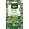 Image de Graine - Vilmorin - Basilic Cannelle