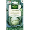 Image de Graines - Vilmorin - Chou Blanc de Brunswick