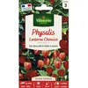 Image de Graines - Vilmorin - Physalis Lanterne Chinoise