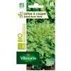 Image de Laitue a couper salad bowl verte bio Vilmorin