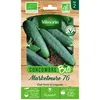 Image de Graines - Vilmorin - Concombre Marketmore 76 - BIO