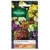Image de Sachet Graines Giroflée Ravenelle Simple Variée