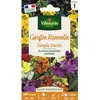 Image de Graines - Vilmorin - Giroflée Ravenelle Simple Variée