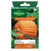 Image de Graines - Vilmorin - Potiron Atlantic Giant