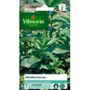 Image de Graine - Vilmorin - Menthe Poivrée