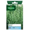 Image de Sachet graines Romarin officinal-