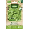 Image de Graine - Vilmorin - Cerfeuil Commun - BIO