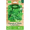 Image de Graine - Vilmorin - Persil Gigante dItalia (Géant dItalie) - BIO