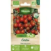 Image de Graines - Vilmorin - Tomate Cerise - BIO