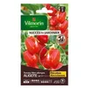Image de Graines - Vilmorin - Tomate Aligote HF1 - Graines dException