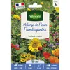 Image de Graines - Vilmorin - Mélange Flamboyant - 10 m² - Mélange de fleurs