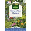Image de Graines - Vilmorin - Fleurs Oubliées - 10 m² - Mélange de fleurs