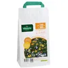 Image de Graines - Vilmorin - Décor Couvrant - 100 m² - Mélange de fleurs