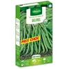 Image de Graine - Vilmorin - Haricot Nain Vert Delinel