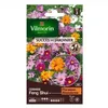 Image de Graines - Vilmorin - Cosmos Feng Shui - Graines dException