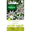 Image de Graines - Vilmorin - Fleur de la Passion (Passiflore)
