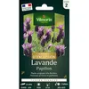 Image de Graines - Vilmorin - Lavande Papillon - Graines dException