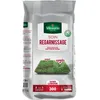 Image de Gazon - Vilmorin - Soin Regarnissage Universel 2 en 1 - 5 kg