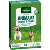 Image de Prairie Animaux - Chiens & Chats
