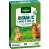 Image de Prairie Animaux - Lapins & Poules