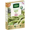 Image de Graine - Vilmorin - Haricot Nain Vert Maxi - 10 m - BIO