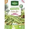 Image de Graine - Vilmorin - Haricot Nain Vert Mascotte - 10 m